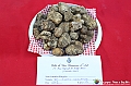 VBS_4277 - Fiera Nazionale del Tartufo Bianco 2024